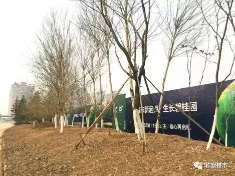 航拍碧桂园浑南新地块 新市府板块再添品牌开发商