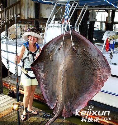  p> a href="#" data-lemmaid="1791953">魟鱼 /a>和 a href="#" data