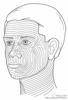 修容所做的功课也是要理解这些皮纹的