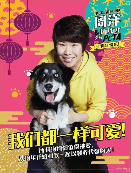 公益广告在祝福大家"土狗年"快乐的同时,也在鼓励大家平等看待所有猫