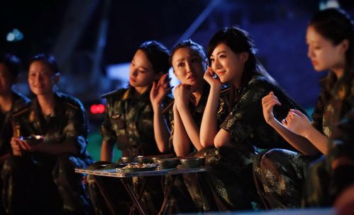 2017年电视剧利刃出击完整演员表图片与片花