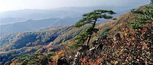 十一游 | 西丰城子山 桃源圣地一日游,特价178元!