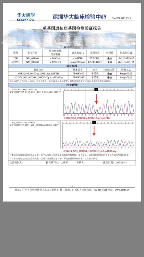 耳聋基因检测结果分析,其各位遗传学大神,耳聋专家关注?