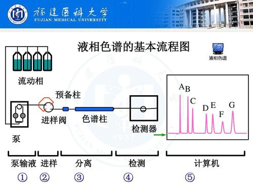 液相色谱的基本 流程图 流动相 预备柱 ab c de g 进样阀 泵 泵输液