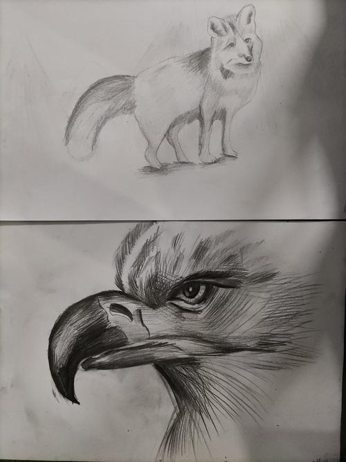 高段班素描《石膏圆球》《小动物》10月25日下午