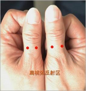 (3)按摩脚趾脚上也有扁桃体反射区,还有其他器官的反射区,由于足部