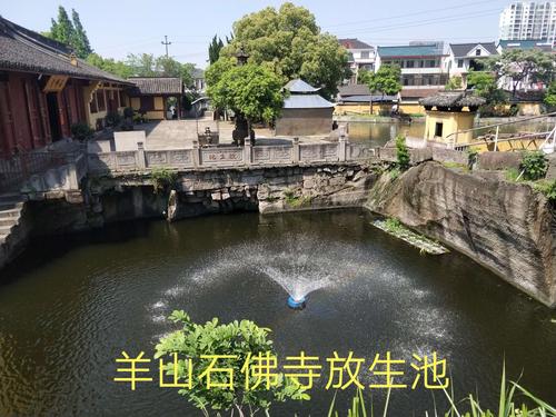 绍兴齐贤羊山公园游