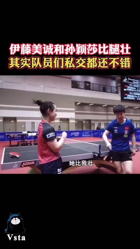伊藤美诚和孙颖莎比腿粗?