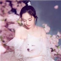 唯美好看杨幂的照片头像杨幂为啥叫大幂幂