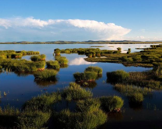 被中国国家地理杂志评为"中国最美的沼泽,湿地"第一名