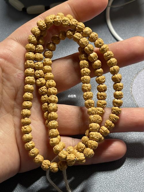 小金刚菩提佛手_菩提_金刚菩提_兴趣爱好_兴趣爱好其他