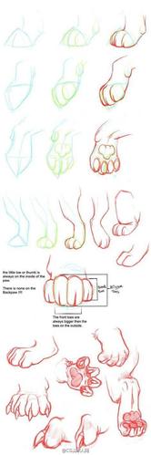 我爱的爪子画法