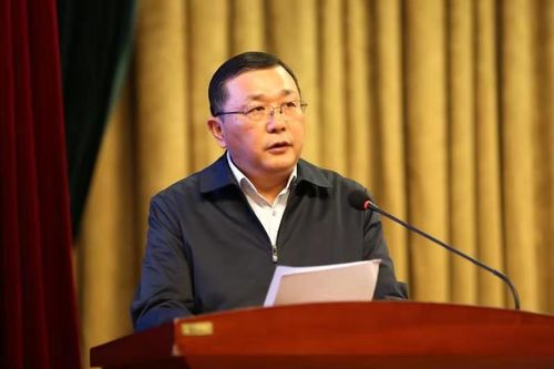 两位省级领导出席安徽综治工作标准化建设这么干