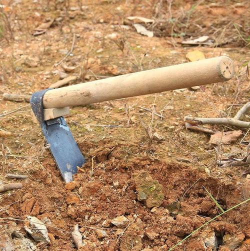 加厚神器工具老式专用多功能冬笋锄头挖笋探测锄头