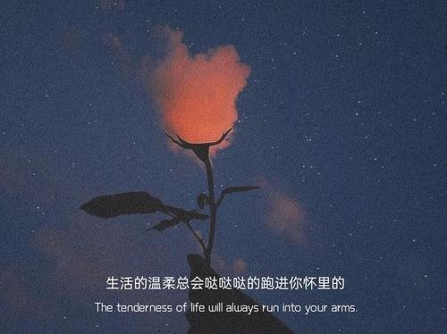 表达自己失落的文案