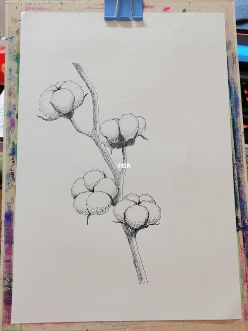 线描画《棉花》_创意美术_儿童创意美术_文化_绘画