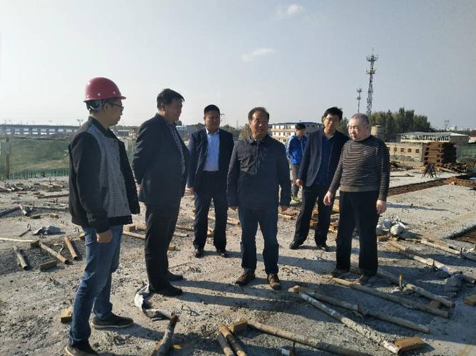 河北省交通运输厅公路管理局刘秀菊副局长一行对龙王庙大桥视察调研