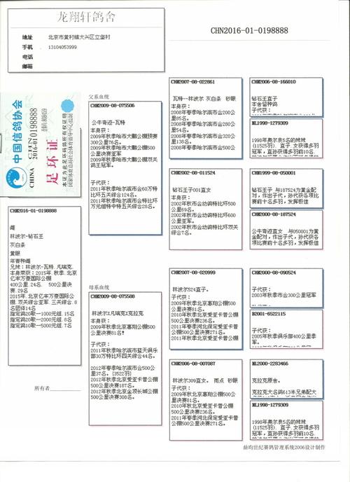龙翔轩 - 中信网铭鸽展厅 www.ag188.com