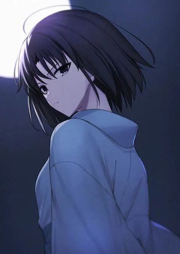 fate/fgo美图第十期 两仪式篇