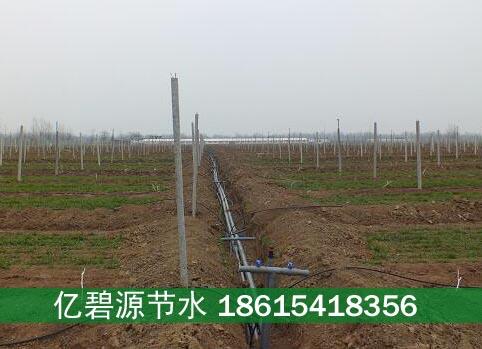 泰安果园地埋滴灌管子多少钱一米