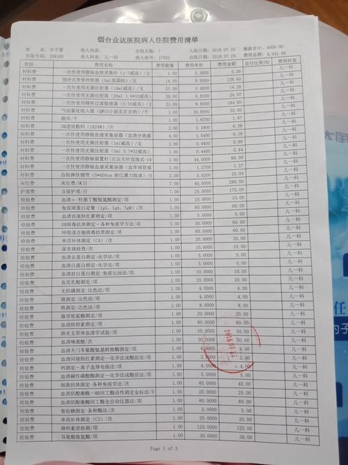住院费用清单1