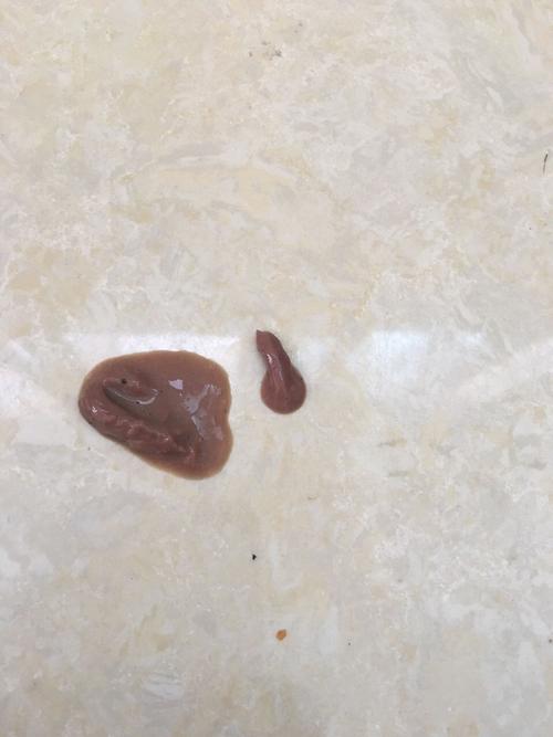 我家泰迪快两个月了,昨天晚上拉稀呕吐,今天去查不是细小,下午拉淡