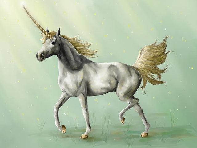 很像长角的马,独角兽手机壁纸大全