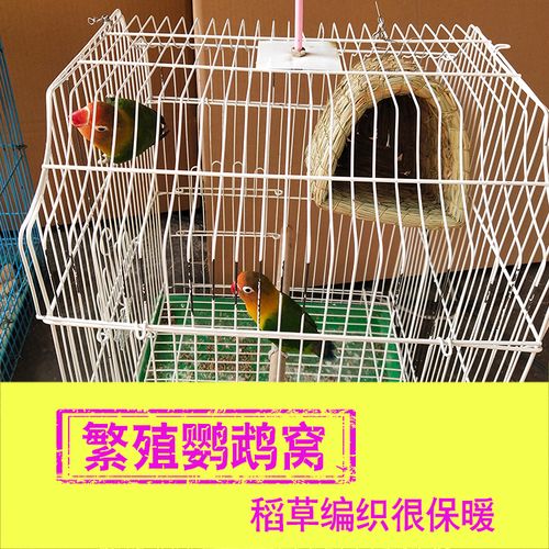 虎皮鹦鹉窝鸟巢冬天保暖 牡丹过冬繁殖孵蛋窝 文鸟专用鸟窝悬挂式