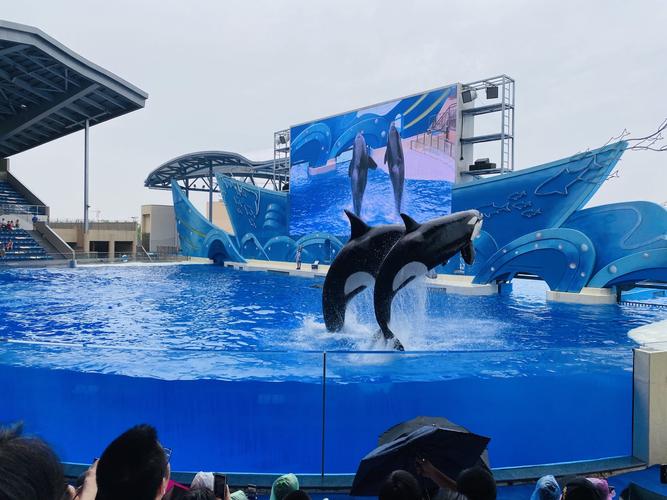 上海海昌海洋公园