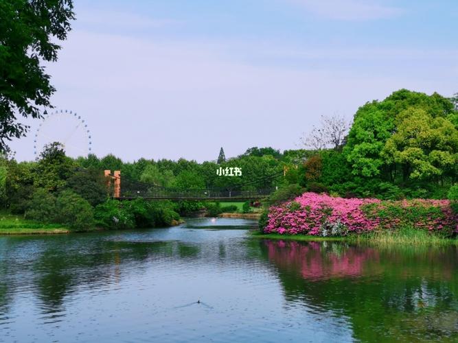 宜兴|龙背山森林公园_宜兴_森林_公交车_宜兴龙背山森林公园_出行