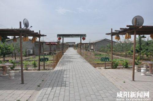 礼泉县白村现代农业体验园成为我市乡村游又一创新之路