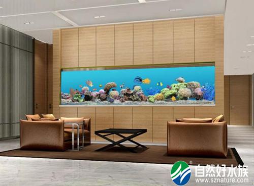 邵阳观赏鱼缸装饰家居空间