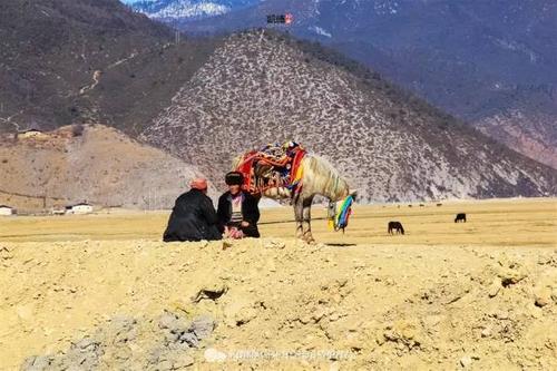 上帝把世界上最浪漫的风景都给了香格里拉