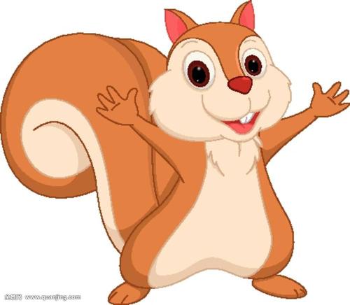 卡通松鼠图片大全可爱