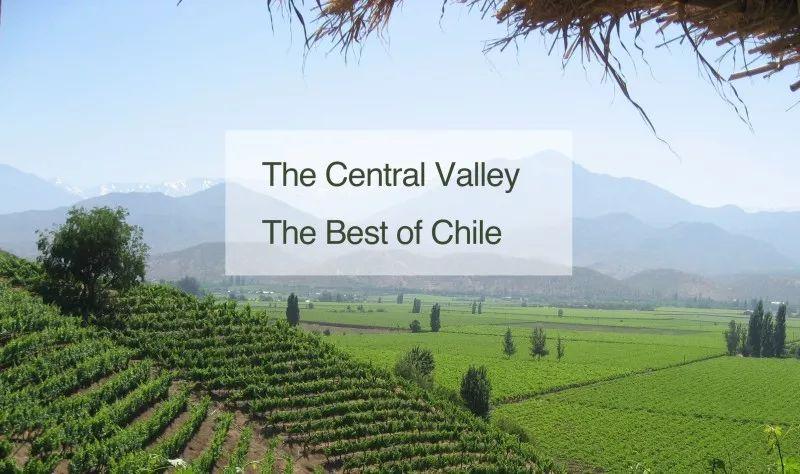 它从迈坡谷(maipo valley)一直延伸到莫莱谷(maule valley)的南端