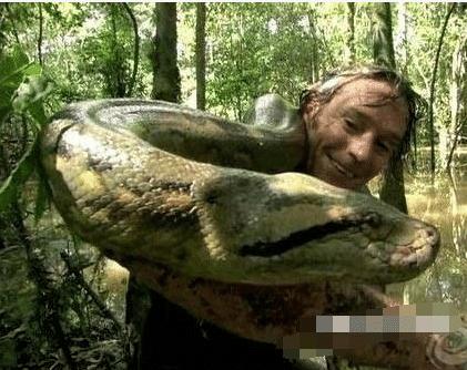 "世界蛇王"是人而不是蛇,从致命毒蛇到巨蟒,没有他不敢抓的