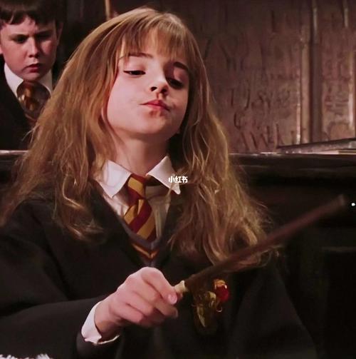 hp 「赫敏&罗恩」_情侣头像_哈利波特_情头_素材