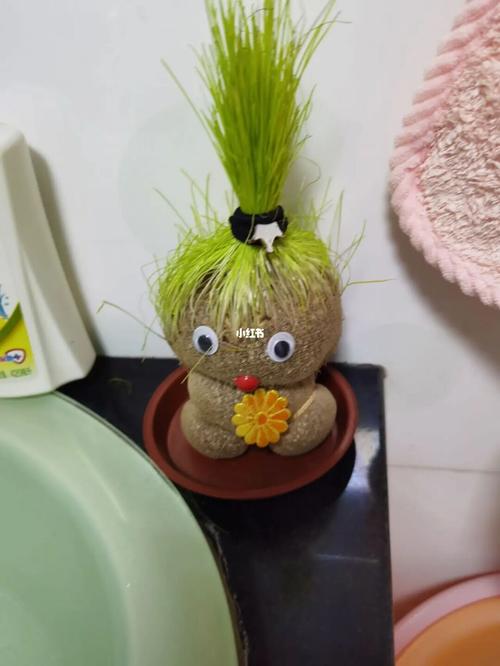 草娃娃可以扎头发了,好可爱,哈哈#长草娃娃_长草娃娃