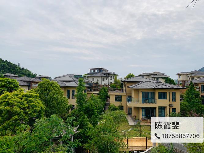 临安青山湖科技城板块独幢别墅,占地1.5亩面积300方起