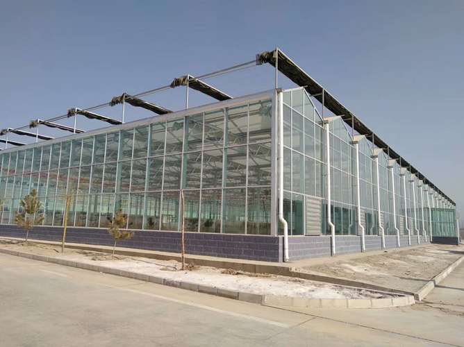 玻璃大棚 贵阳薄膜温室大棚图片图片_高清图-河南奥农