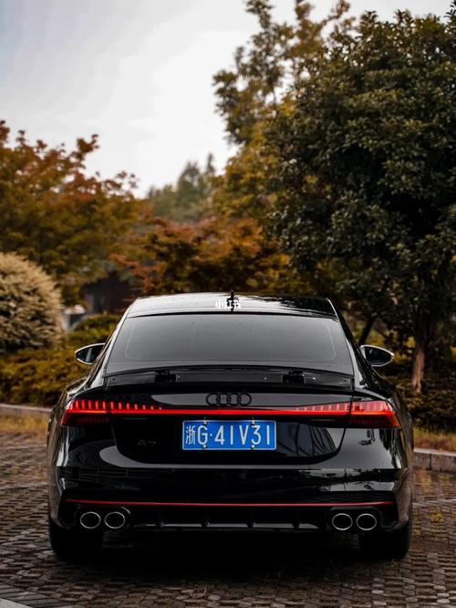 入秋下的一组黑武士照片_奥迪怎么样_奥迪a7_汽车