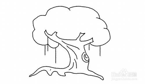 榕树怎么简笔画