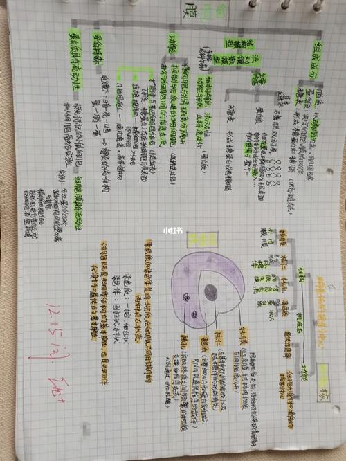 高一生物第三章 细胞的基本结构 思维导图