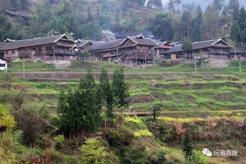 67利川避暑怎么耍? 十大徒步旅游线路任你选_团堡镇