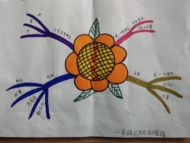 二年级级部第一单元思维导图展示