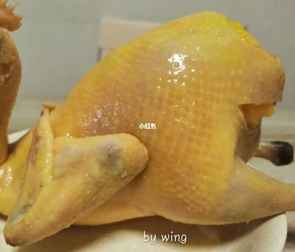 清远的白切鸡_白切鸡_摆盘_美食_鸡皮_鸡肉_谷物_吃货