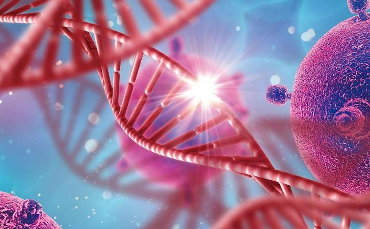 使用奥拉帕利作为卵巢癌的维持治疗药物可以降低复发