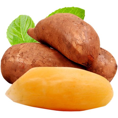 现挖云南特级红心黄肉雪莲果天山果新鲜孕妇雪莲果