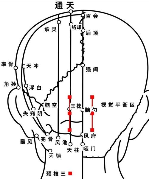 每日一穴 百会穴_按摩_百会_医疗健康_医疗方法
