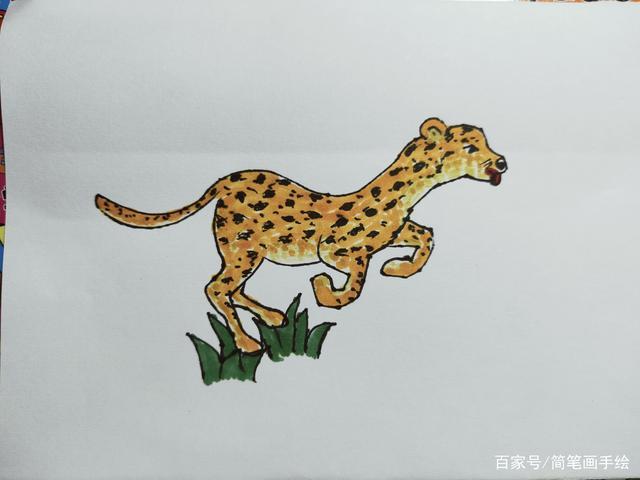 简笔画豹子
